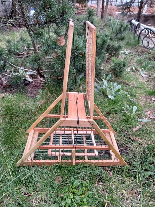 Клетки и западки, ловушки, хлопунчики из натурального дерева