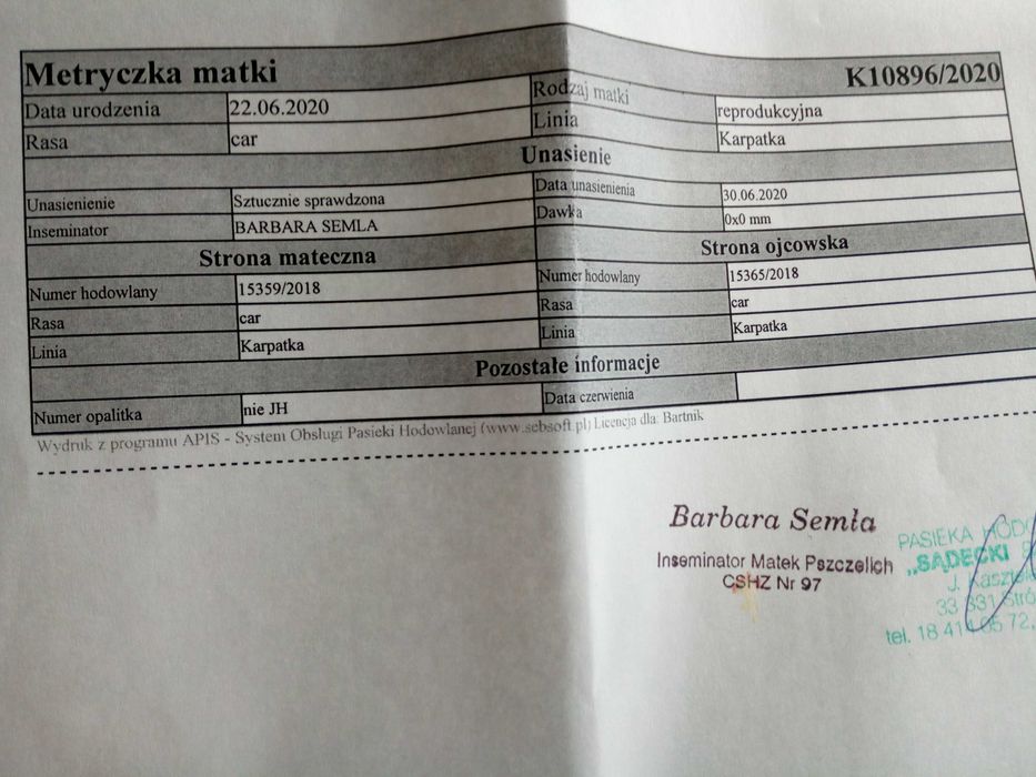 Matki Pszczele Unasiennione Dostępne od ręki !!