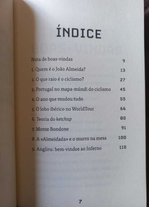 João Almeida e a Montanha Mágica - Gonçalo Moreira