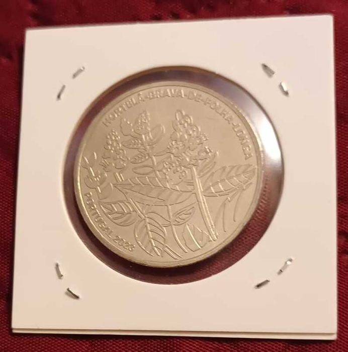 Moeda Hortelã-Brava 2023