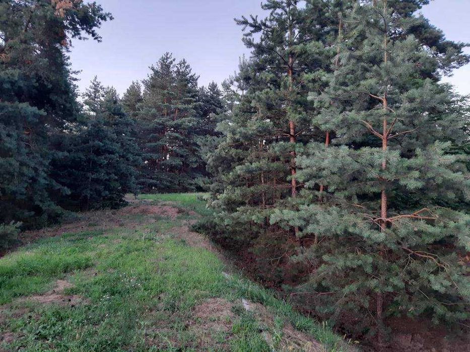 Продам будинок  в мальовничому екологічному місці- ДЕРЖПРОГРАМИ.22248