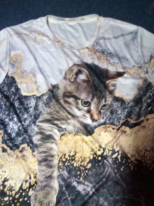 Футболка з котиком