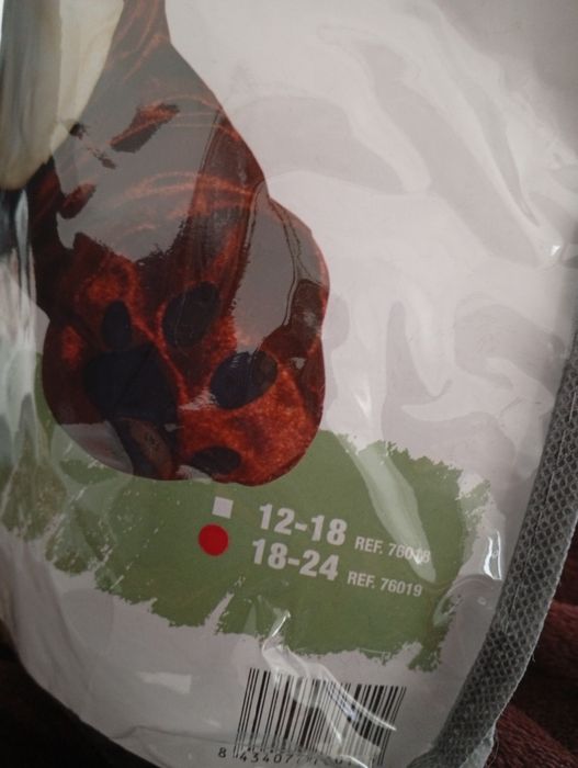 Fato carnaval esquilo novo