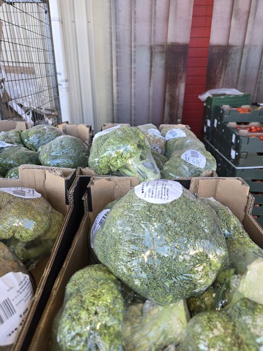 Oddam pokarm dla zwierząt