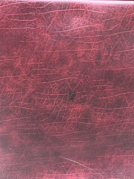 Mala de viagem antiga NOUVEAU