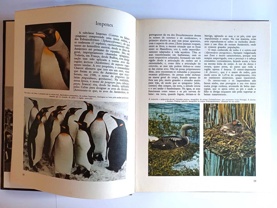 Enciclopédia do reino animal, vol 6 - sobre Aves, Verbo Juvenil 1970