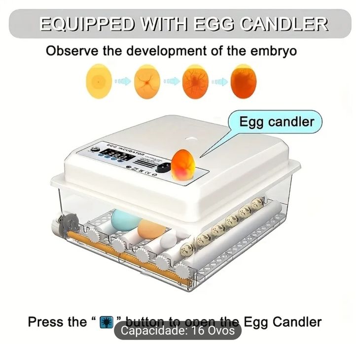 Incubadora Automática para 12-16 Ovos