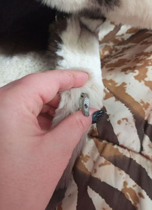 Шуба. Натуральне хутро