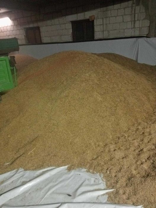 Sprzedam trawę gorzowską , lucernę , siano,słomę oraz zboże.