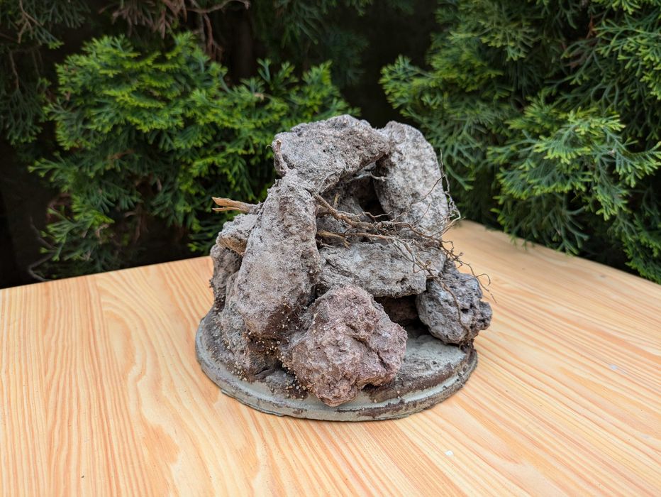 Grota z lawy wulkanicznej z korzeniem