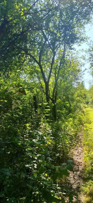 Земельна ділянка з літнім будинком в с.Павлівка
