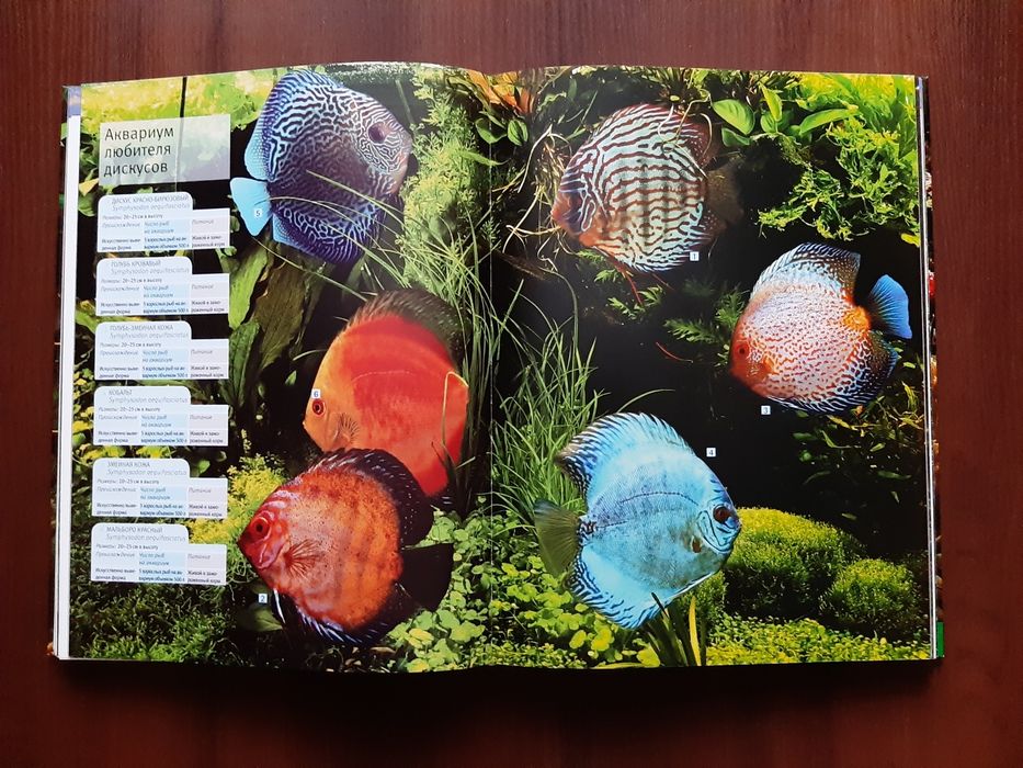 Большой путеводитель по аквариуму