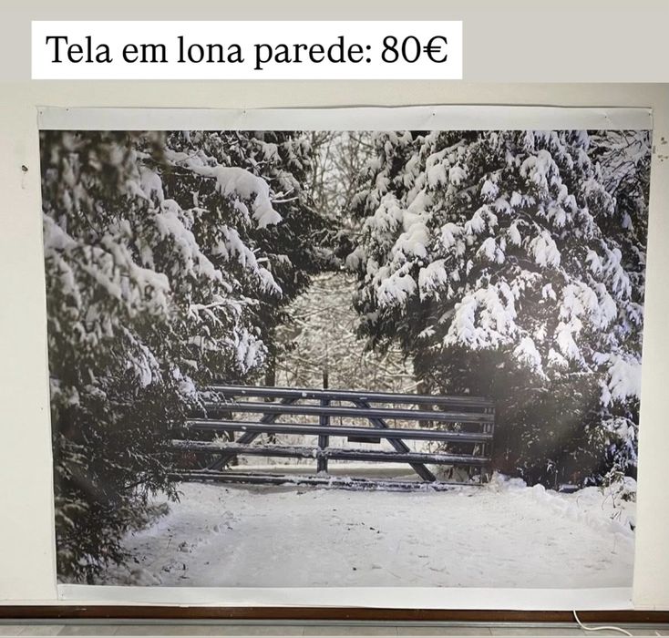 Telas Fotográficas