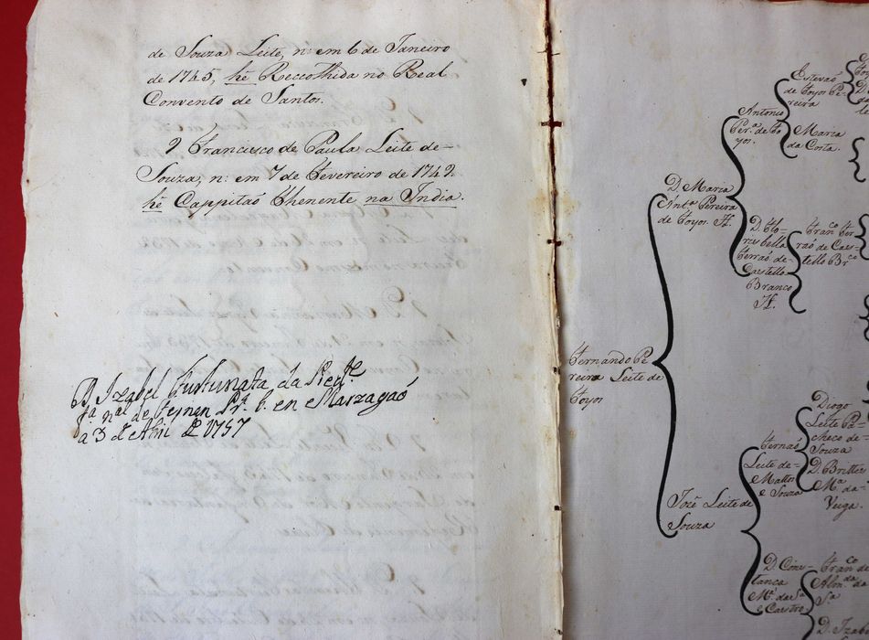 Comendadores de Mação Tomar Ordem de Cristo 1759 Foios