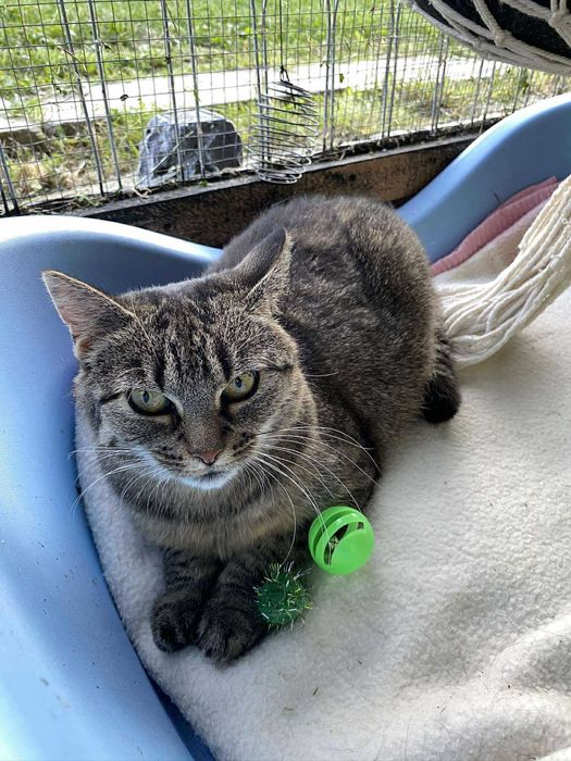 Do adopcji - Sara i Rybka