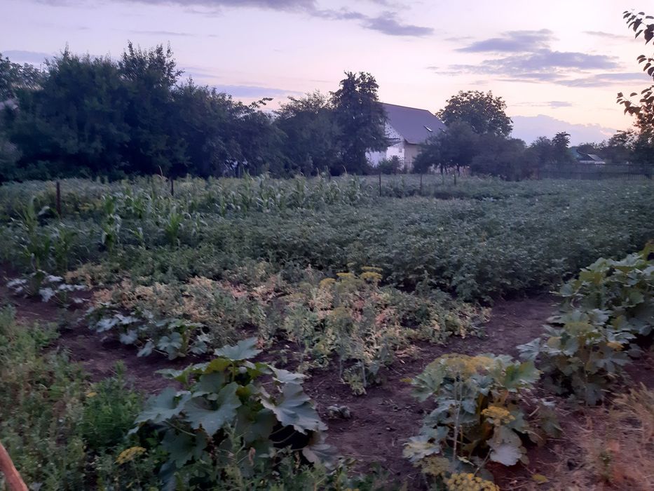 Продам або обміняю будинок