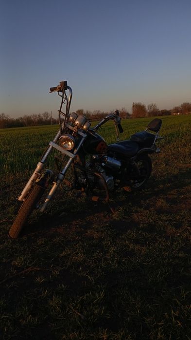 Вайпер харлей 100кубов