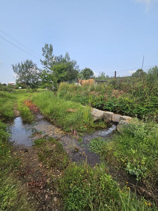 Terreno agrícola