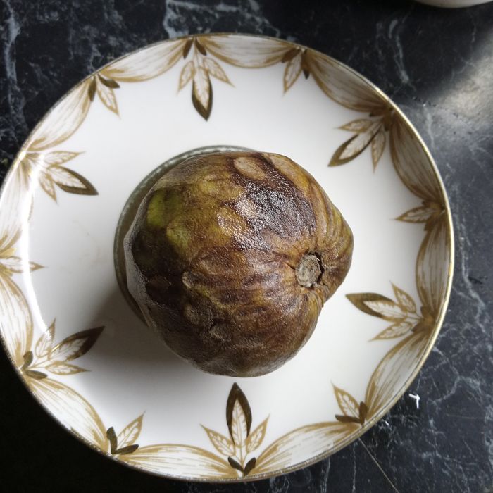 Семена Тенерифе -черримойя