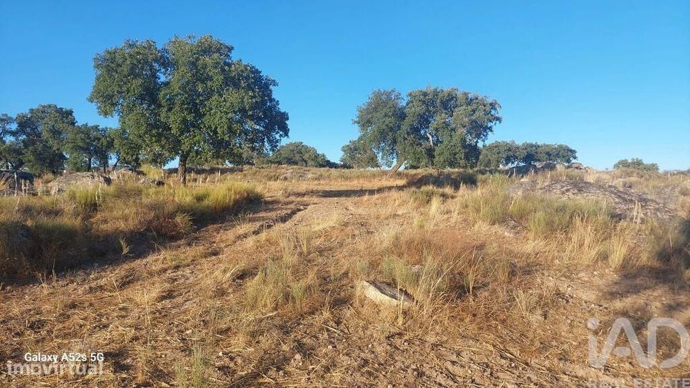 Terreno em Urra de 25000,00 m2