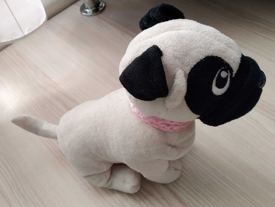 Мопс Chi chi love мопсик собачка pug + сумочка + подарунок рюкзак мопс