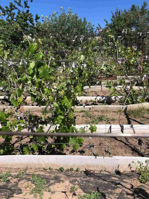 Продам дачу в черте города, Космический район