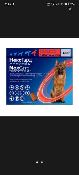 Вітаміни для собак