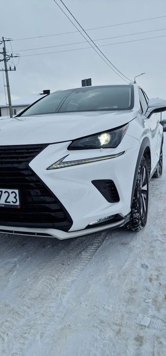 Lexus NX Lexus NX 300 2WD 2019r 238KM 70 000km