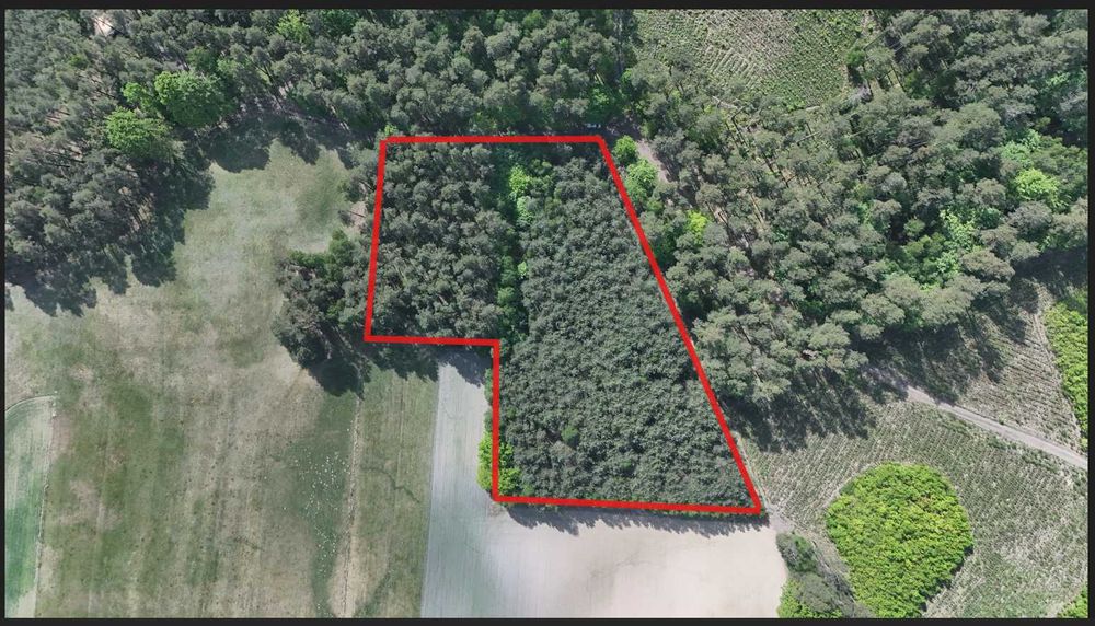 Działka lesna 1,0192 ha , Las