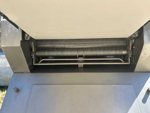 Skórowaczka Grasseli dwutaśmowa