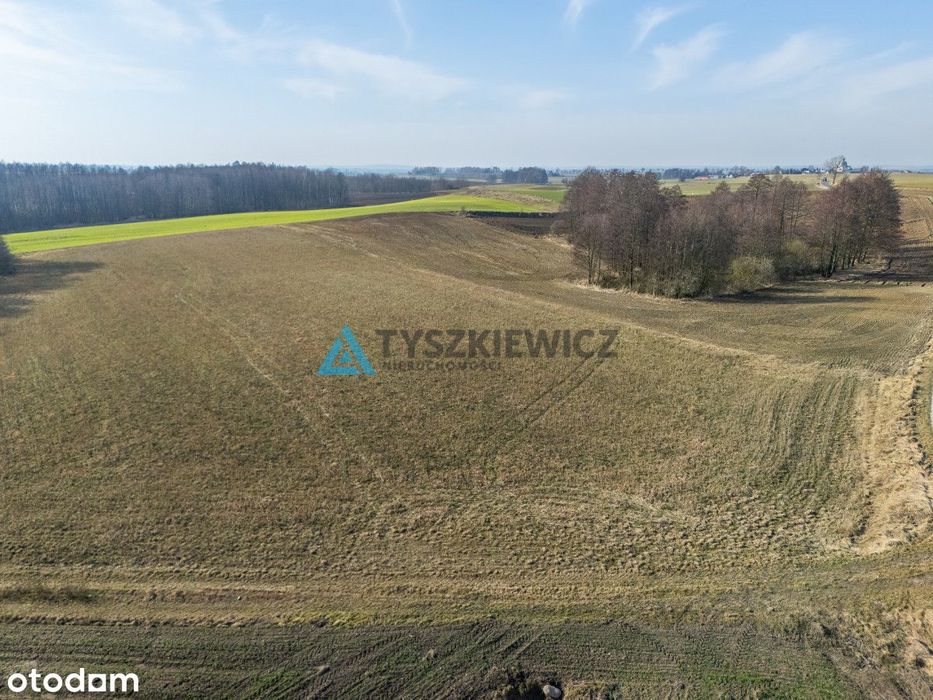 Działki z wydanymi WZ