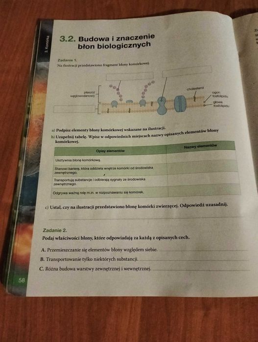 Biologia na czasie karty pracy zakres podstawowy klasa 1