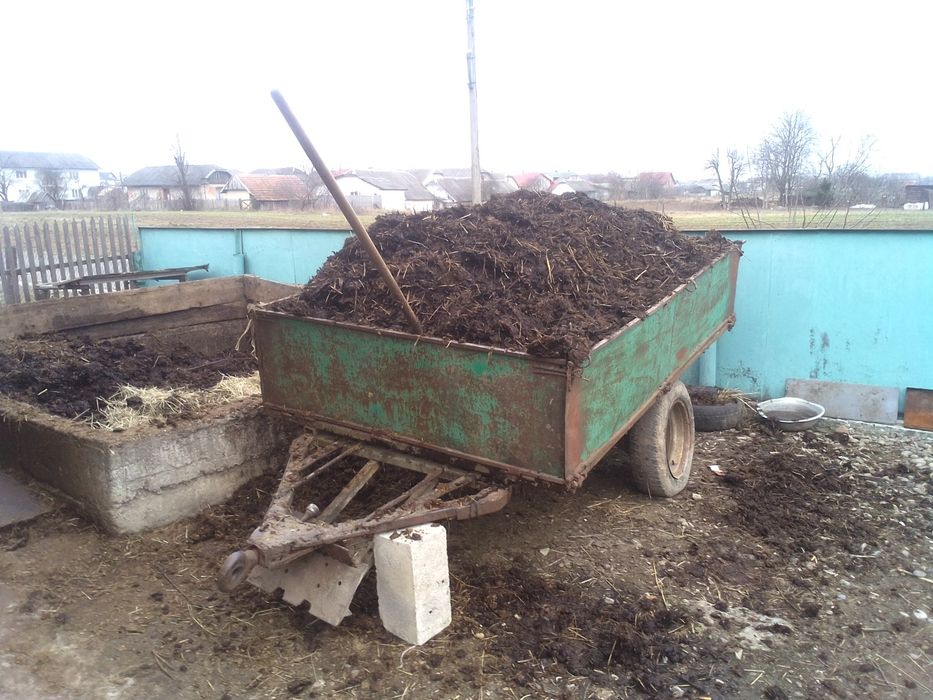 Продам Гній Знаходиться в Івано Франківськ отг Братківці.