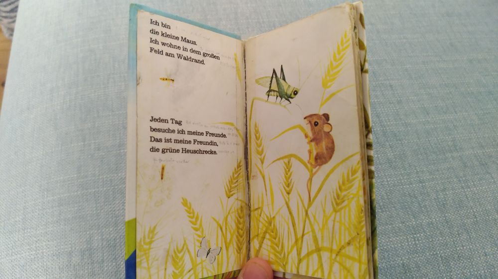 Ich bin die kleine MAUS