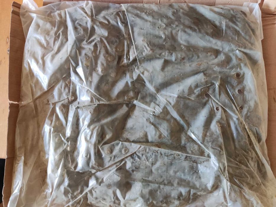 Ланцюг приводний роликовий ПР-25,4 (ISO-16В-1) 5,0м