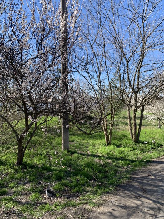 Осокорки. Продаж земельноі ділянки