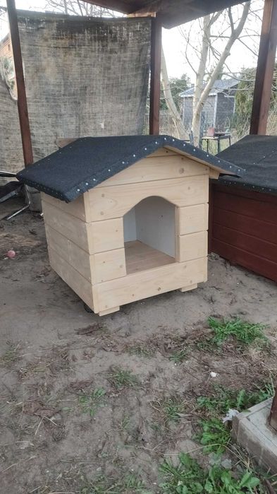 Buda dla psa i kota
