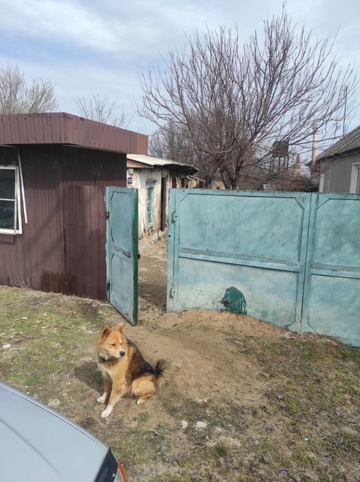 Продам земельну ділянку