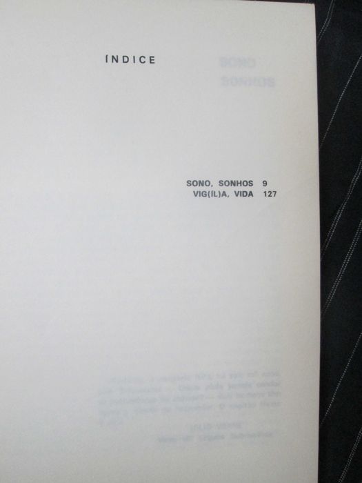 O Capitão Nemo e eu, de Álvaro Guerra