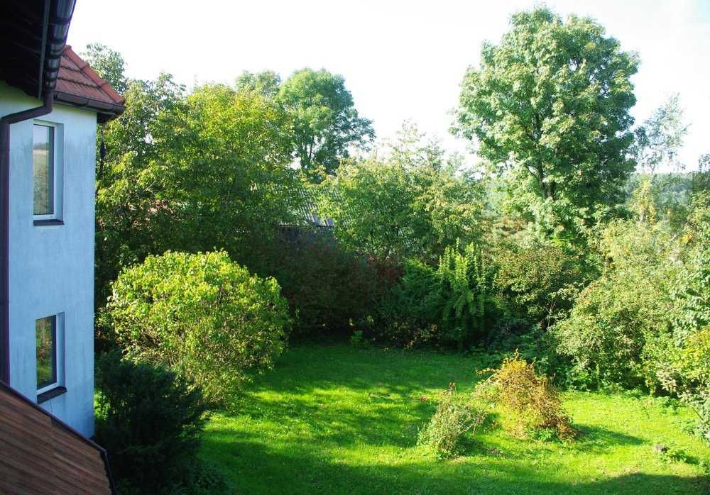 Zdjęcie 6