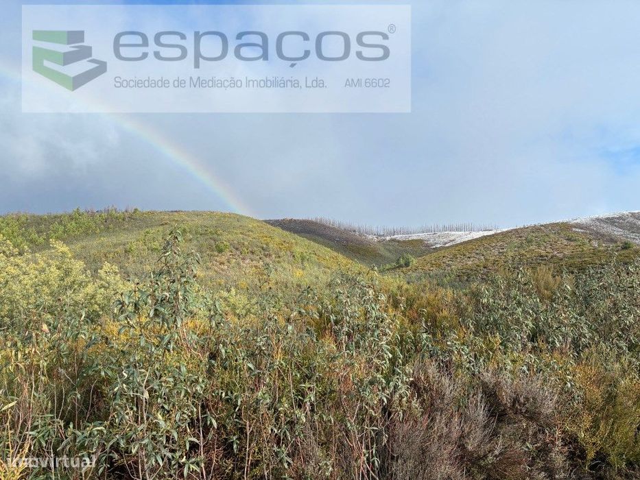 Magnifico Terreno