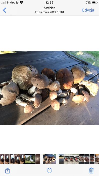 Duży dom domek nad rzeką k Warszawy domek kawalerski panieński