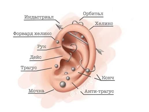 Прокол уха ,пирсинг