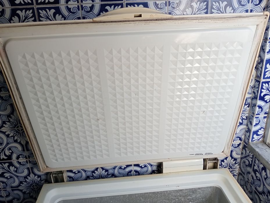 Arca Congeladora