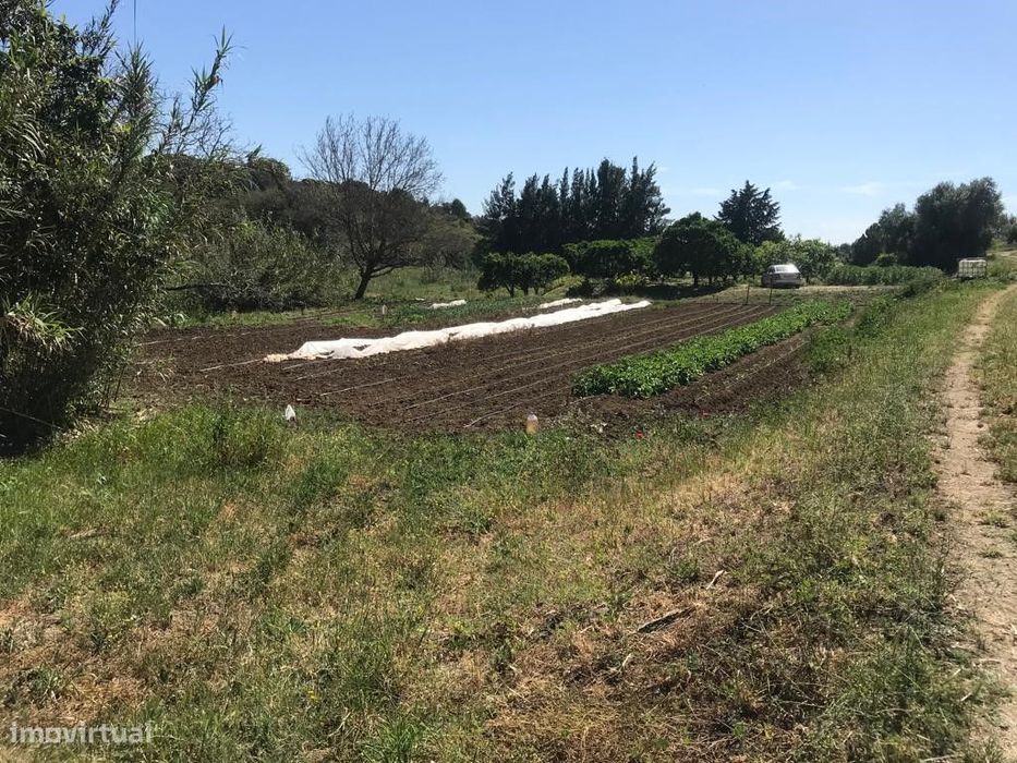 TERRENO Rústico (6.750 m2)