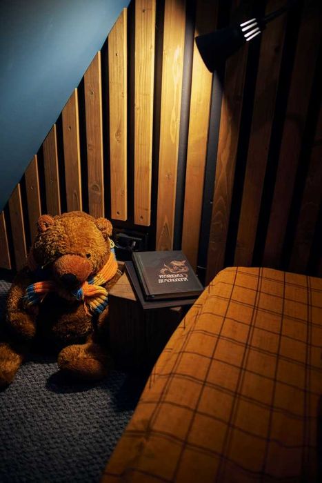 Здається будинок в Карпатах