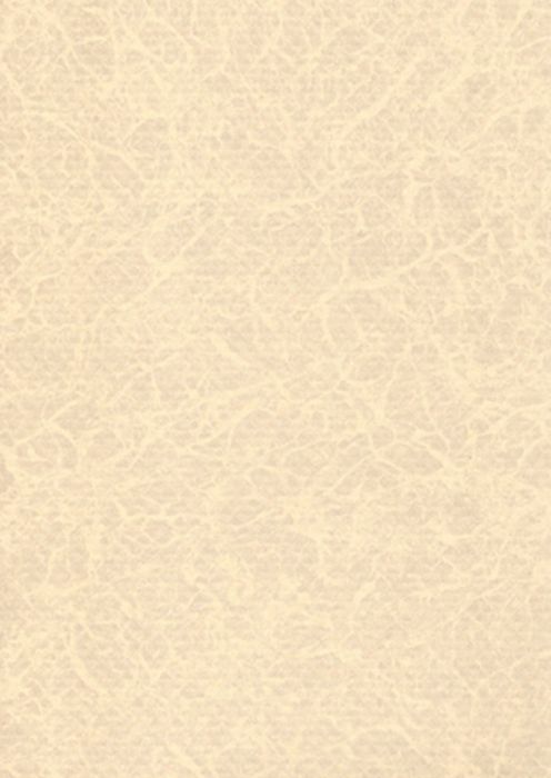 Revestimento Piscinas Tela Elbe Pearl 2D Areia