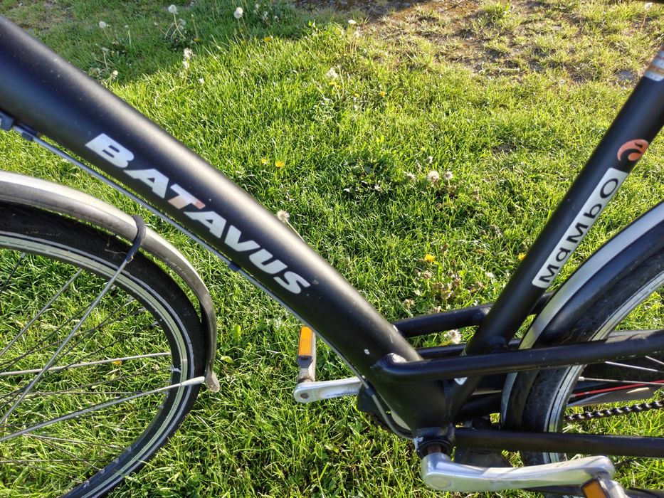 Rower BATAVUS mambo
