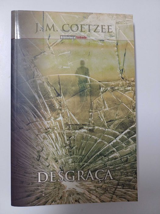 J.M. Coetzee - Desgraça