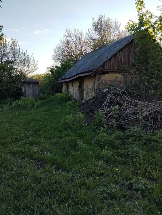 будинок + літня кухня + ділянка 56 соток + горіховий сад